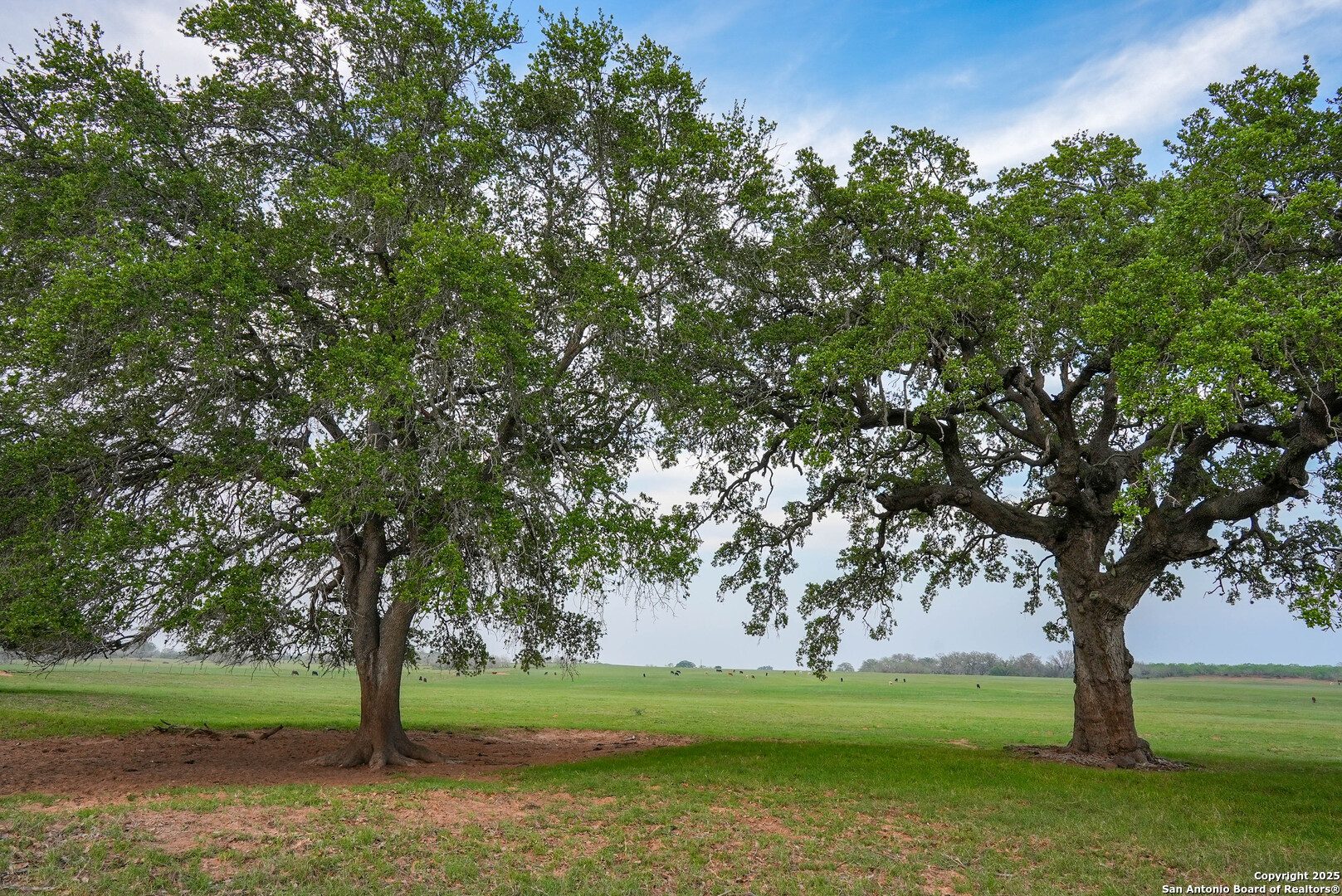 Tbd County Road 404 Floresville TX 78114