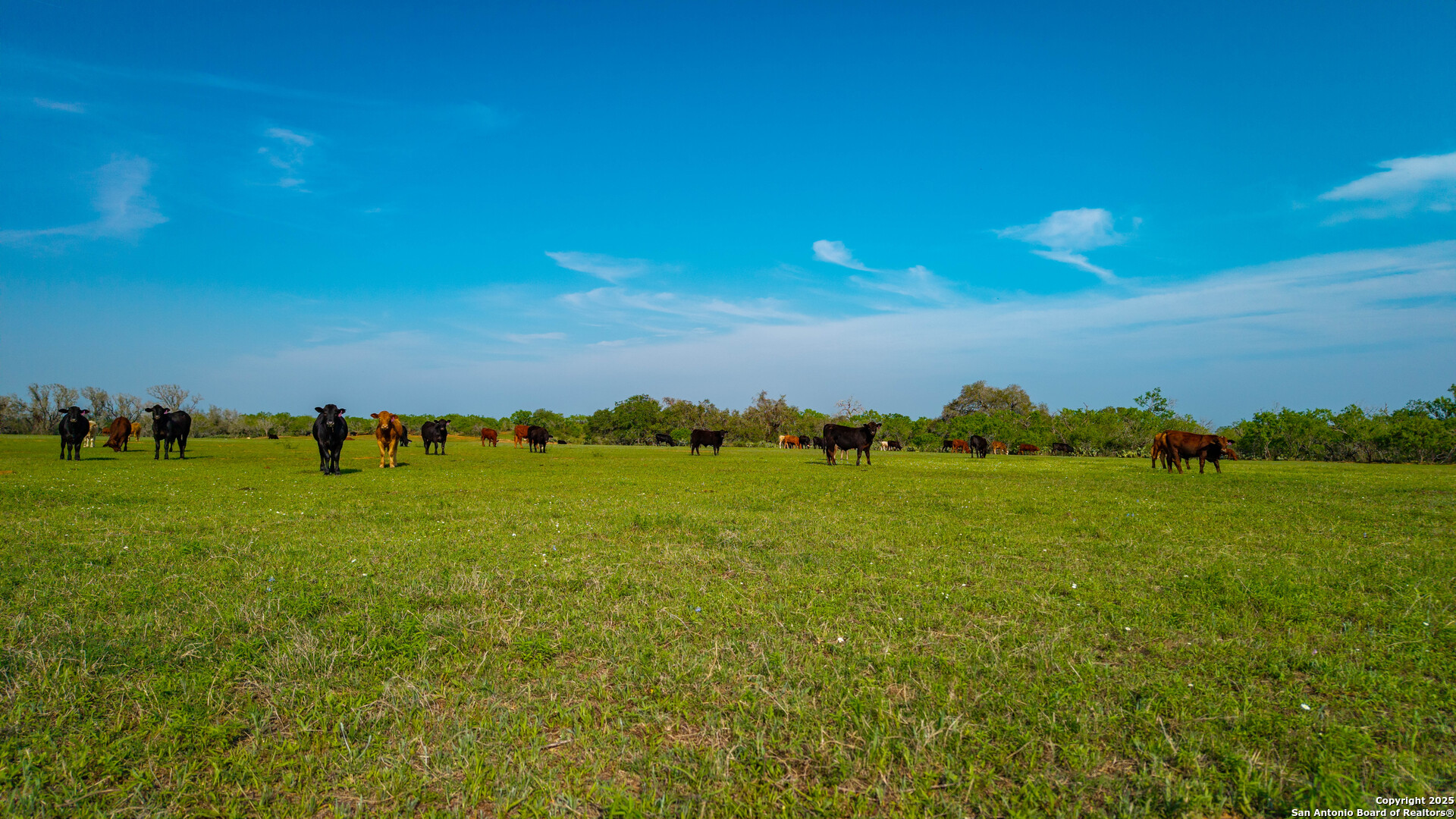 Tbd County Road 404 Floresville TX 78114