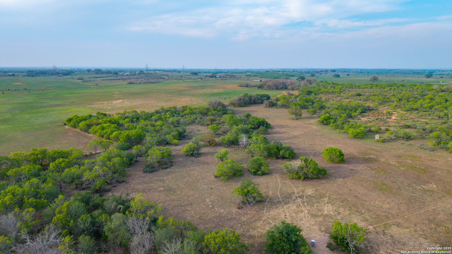 Tbd County Road 404 Floresville TX 78114