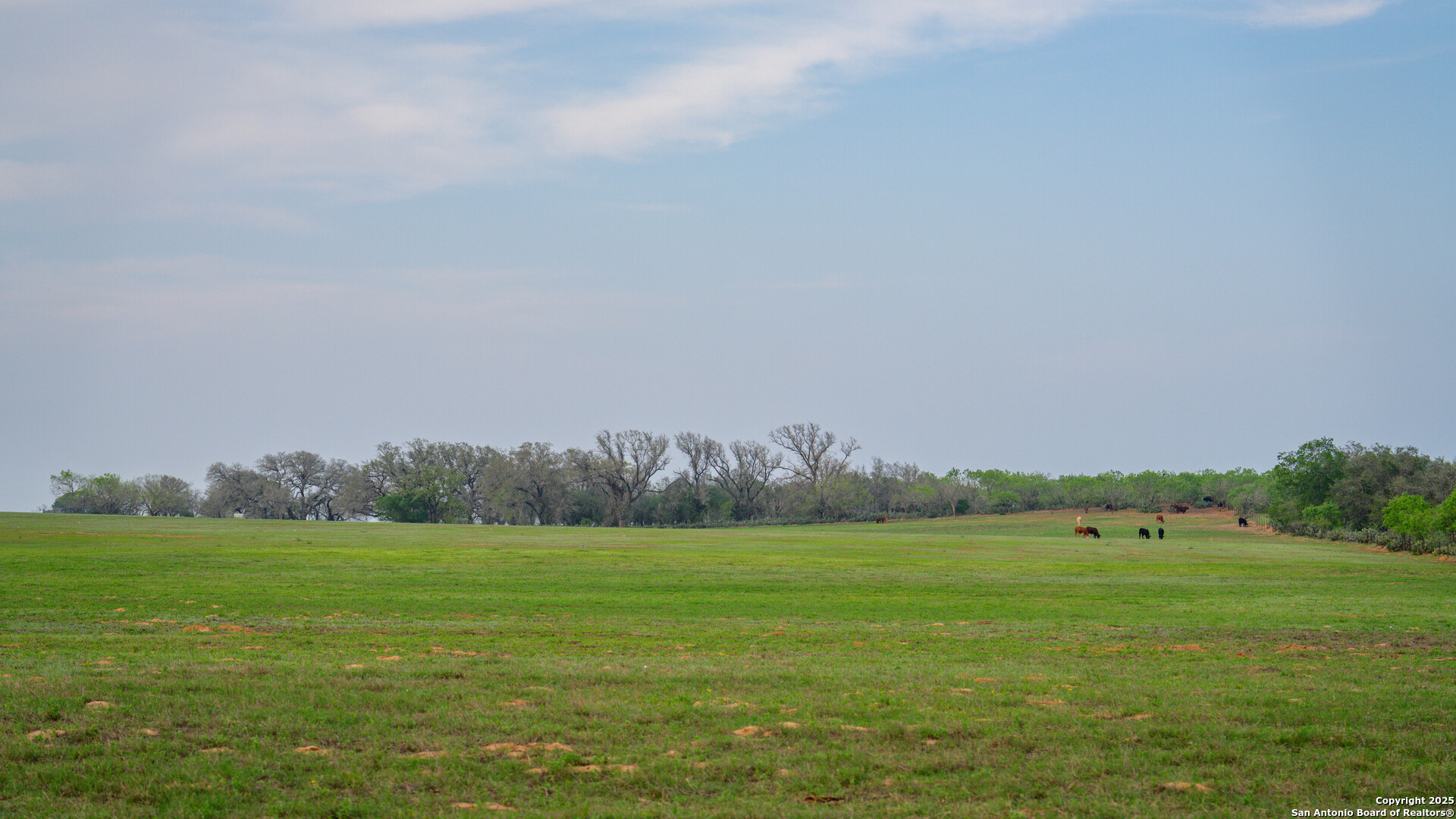 Tbd County Road 404 Floresville TX 78114