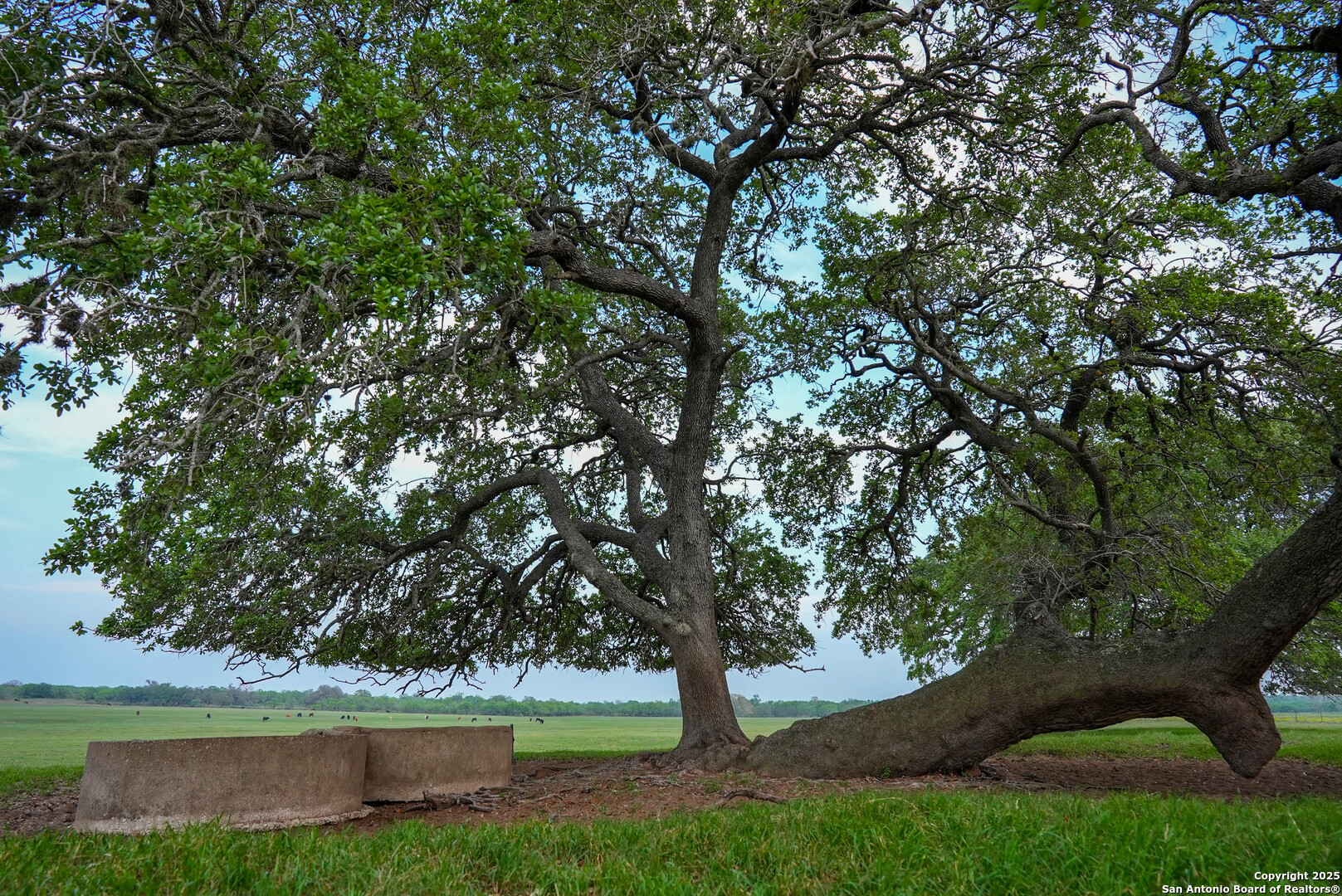 Tbd County Road 404 Floresville TX 78114