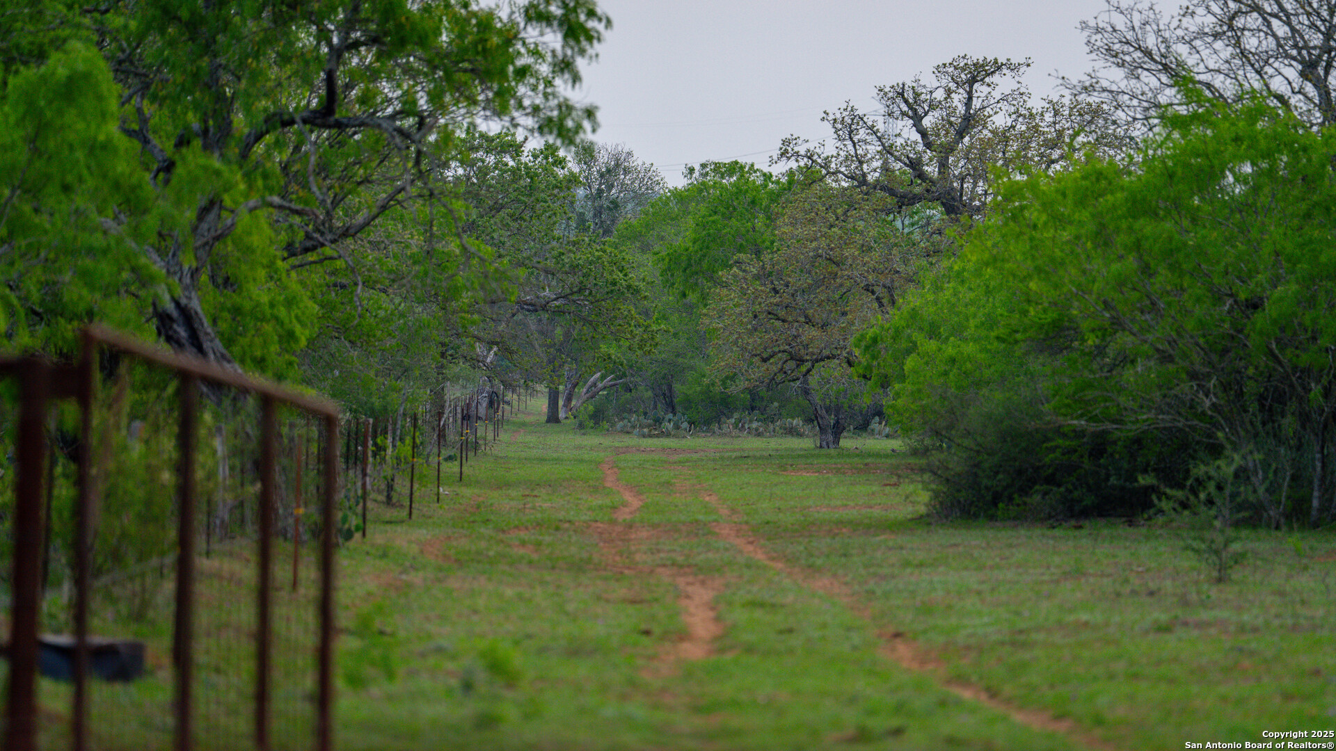 Tbd County Road 404 Floresville TX 78114