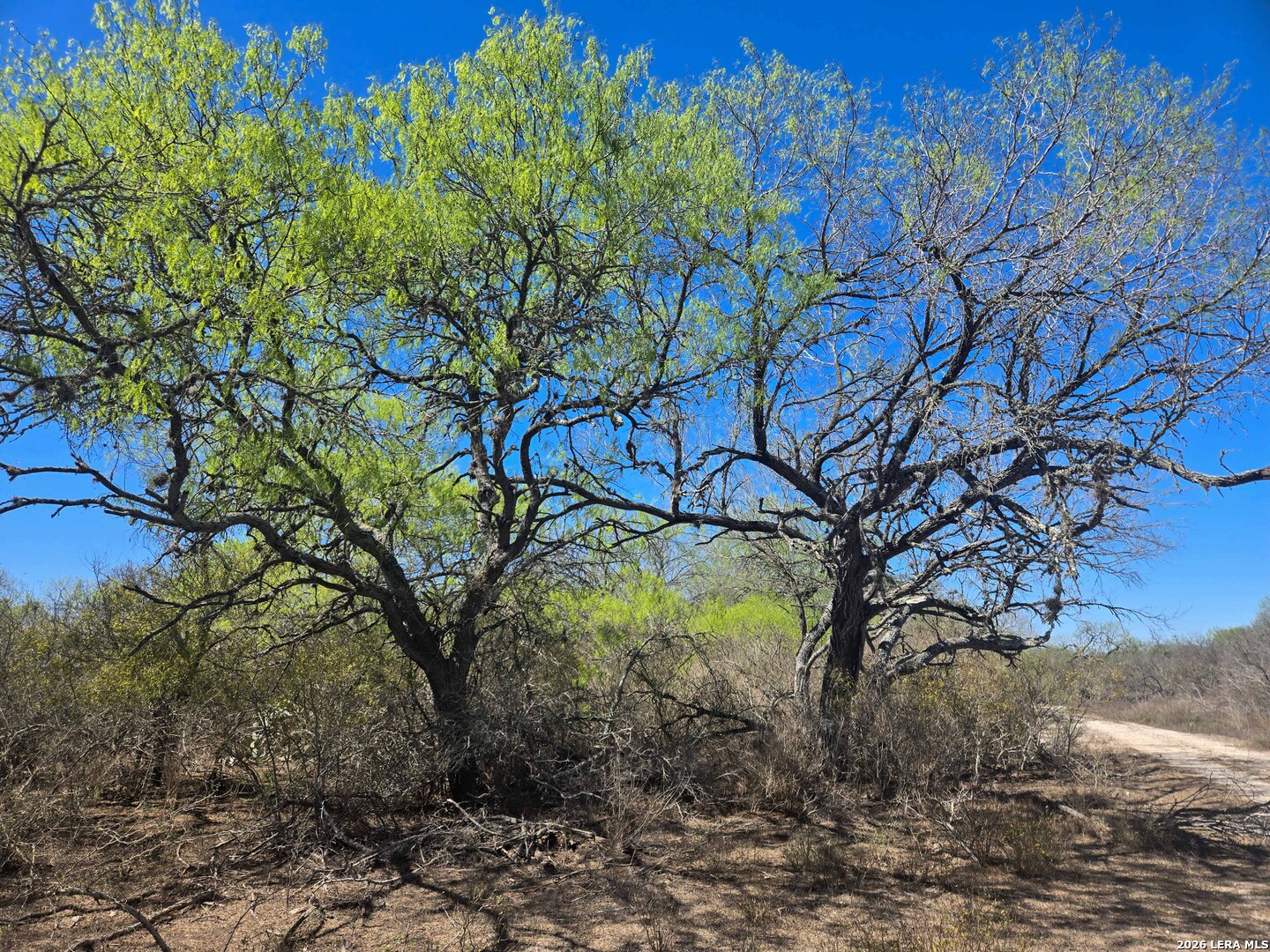9239 Cr 123 Pawnee TX 78145