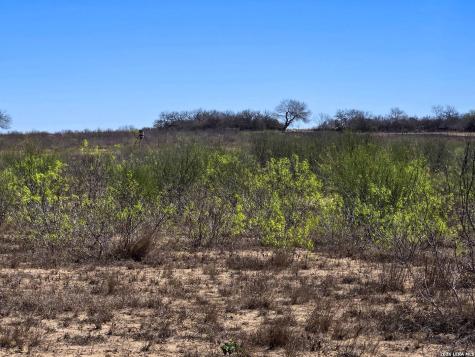 9239 Cr 123 Pawnee TX 78145