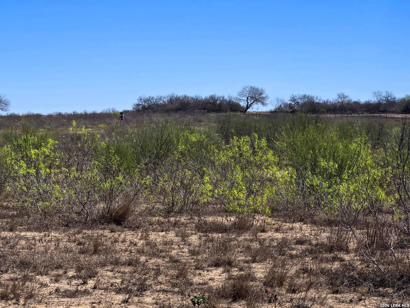 9239 Cr 123 Pawnee TX 78145