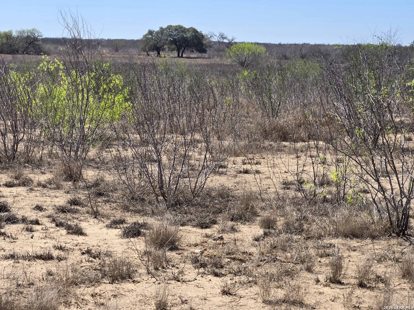 9239 Cr 123 Pawnee TX 78145