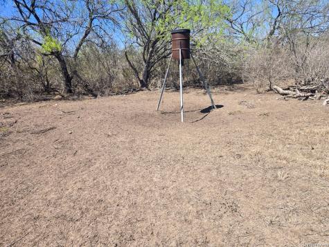 9239 Cr 123 Pawnee TX 78145