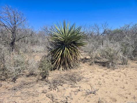 9239 Cr 123 Pawnee TX 78145