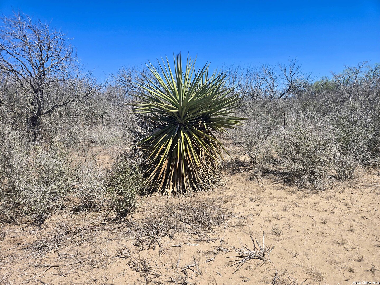 9239 Cr 123 Pawnee TX 78145