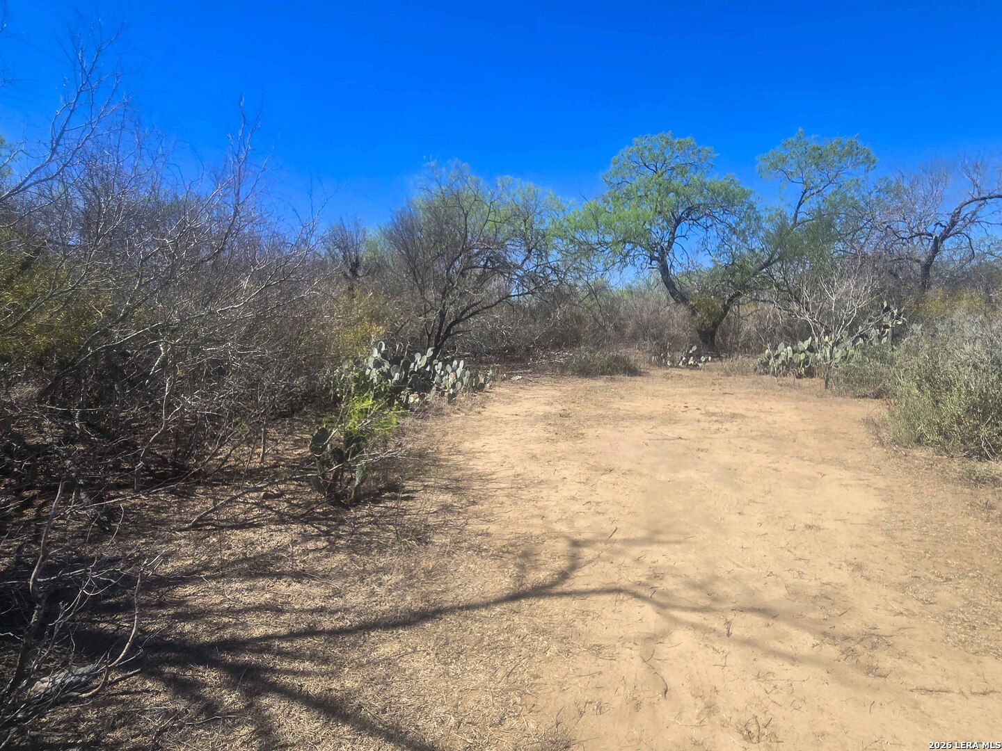 9239 Cr 123 Pawnee TX 78145