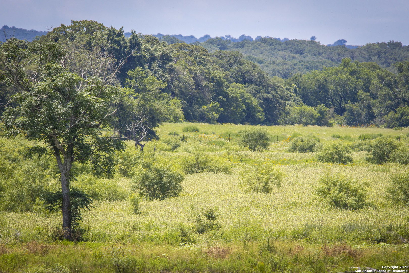 181 Pine Meadow Road Seguin TX 78155