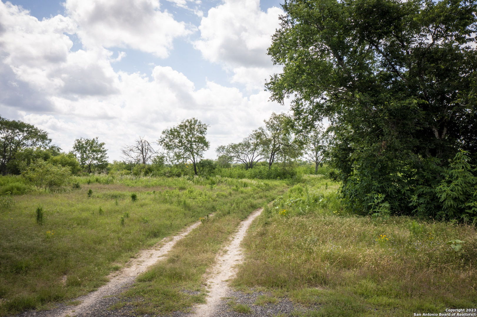 181 Pine Meadow Road Seguin TX 78155