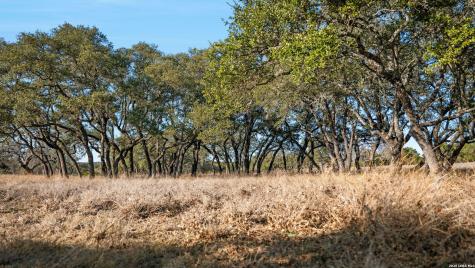 521 Bluff Creek Road Center Point TX 78010