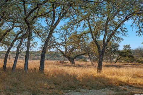 521 Bluff Creek Road Center Point TX 78010