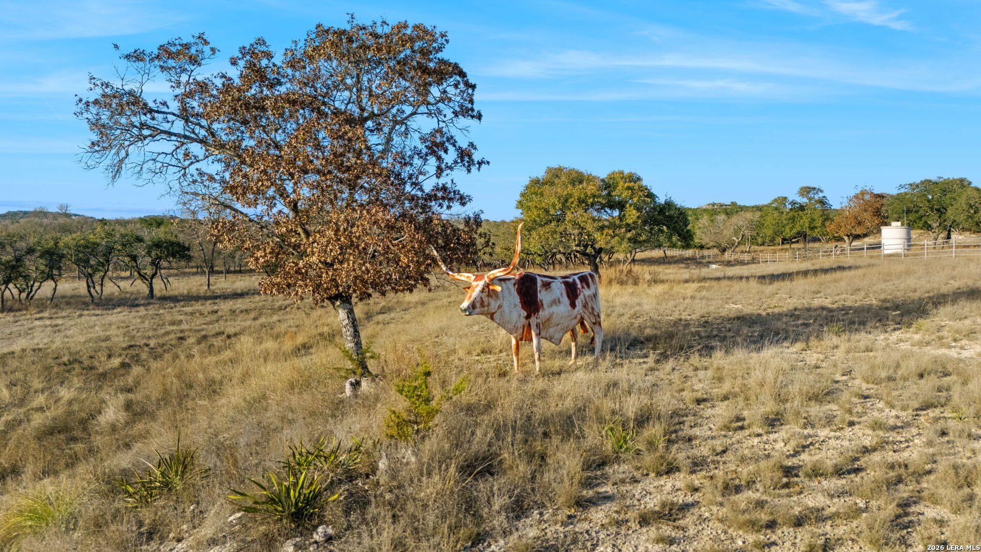 521 Bluff Creek Road Center Point TX 78010