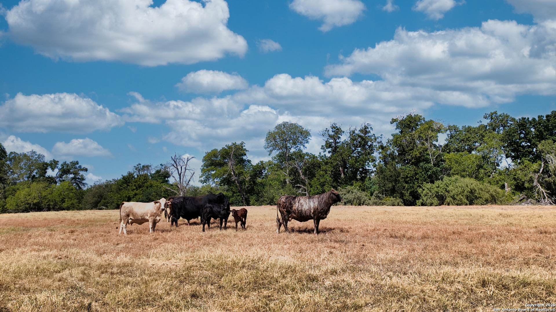 000 State Highway 80 S Luling TX 78648