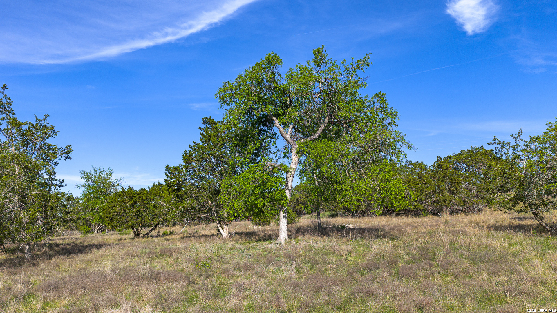 0019 Clearwater Comfort TX 78013