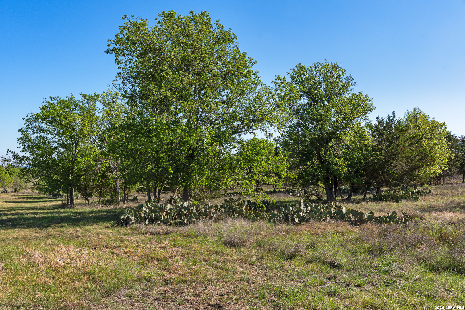 0019 Clearwater Comfort TX 78013
