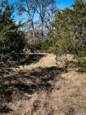 3364 Hwy 173 S. Bandera TX 78003
