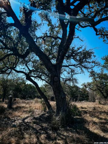 3364 Hwy 173 S. Bandera TX 78003