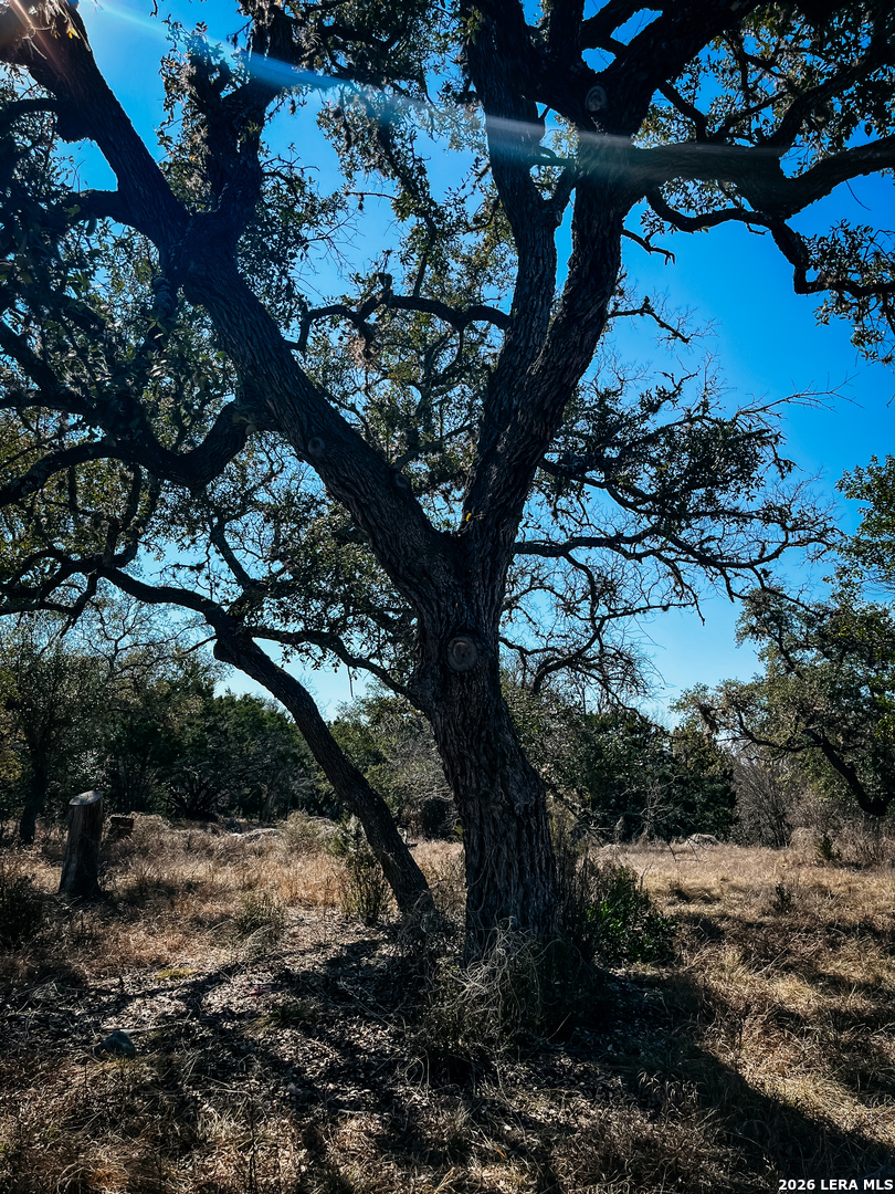 3364 Hwy 173 S. Bandera TX 78003
