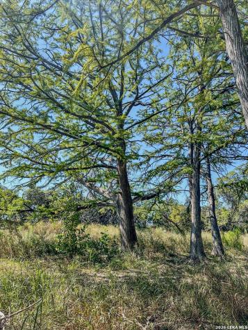 000 Ranch Road 473 Blanco TX 78606