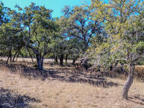 000 Ranch Road 473 Blanco TX 78606
