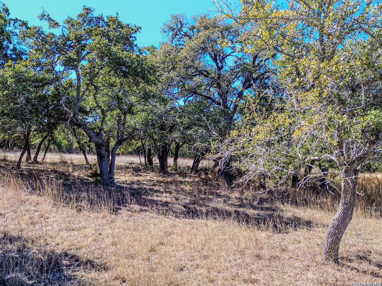 000 Ranch Road 473 Blanco TX 78606
