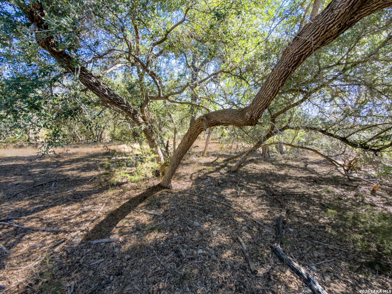 000 Ranch Road 473 Blanco TX 78606