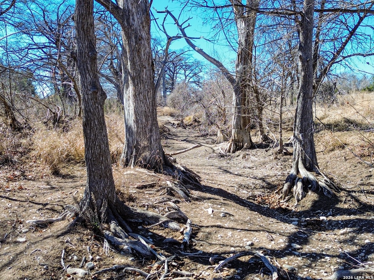 000 Ranch Road 473 Blanco TX 78606