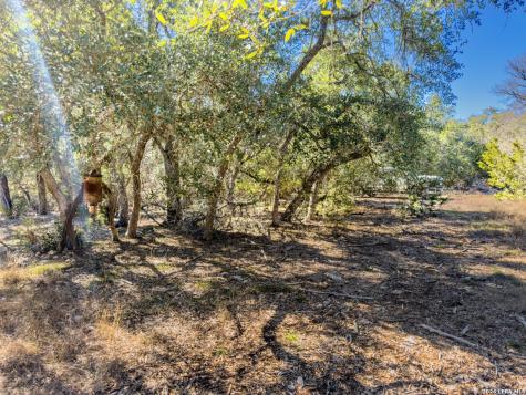 000 Ranch Road 473 Blanco TX 78606