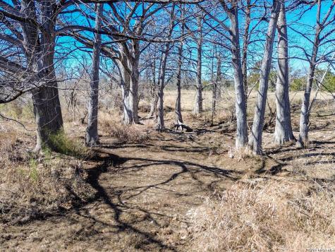 000 Ranch Road 473 Blanco TX 78606