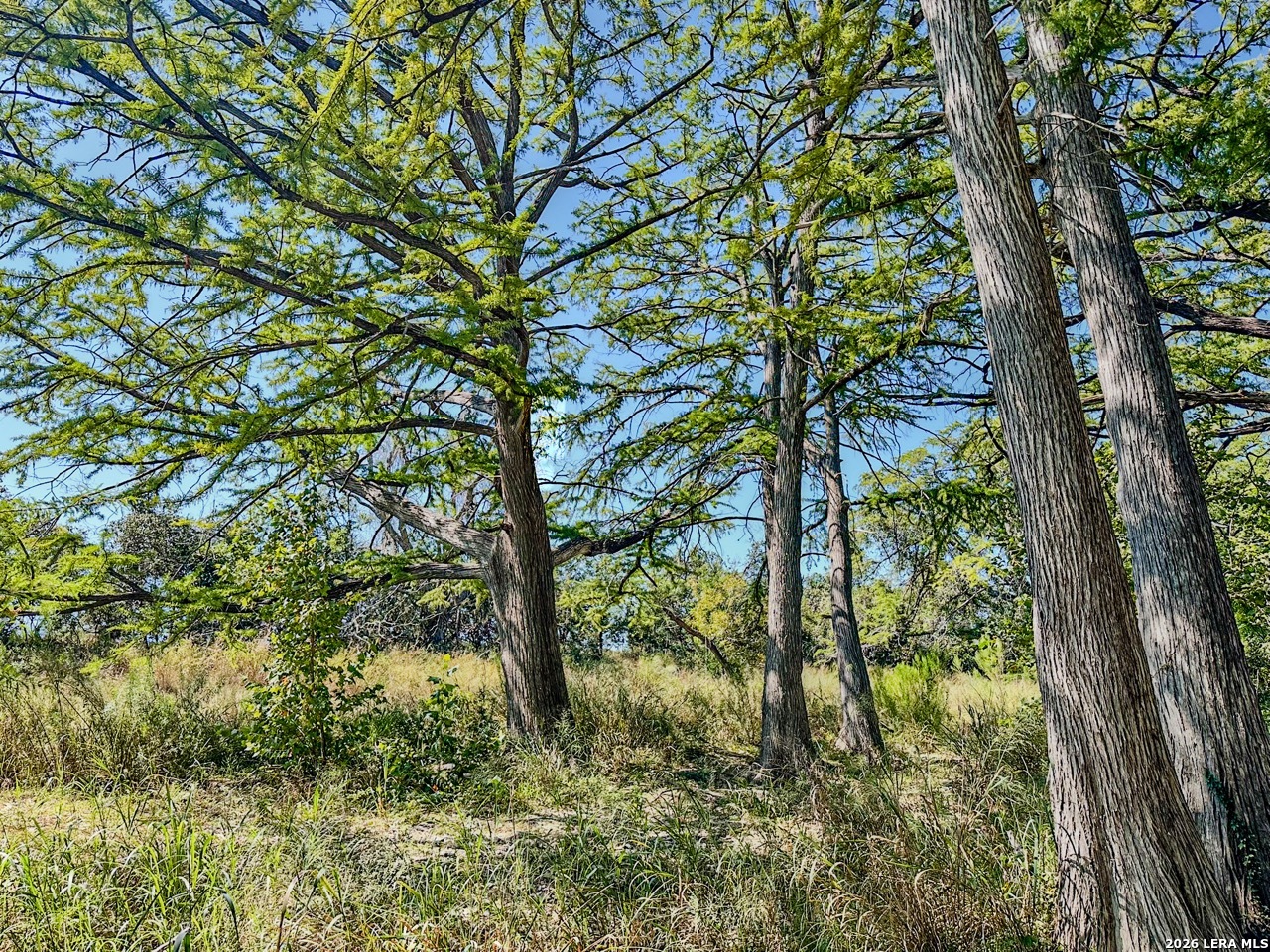 000 Ranch Road 473 Blanco TX 78606