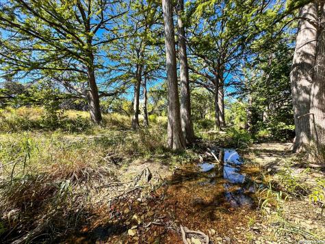 000 Ranch Road 473 Blanco TX 78606