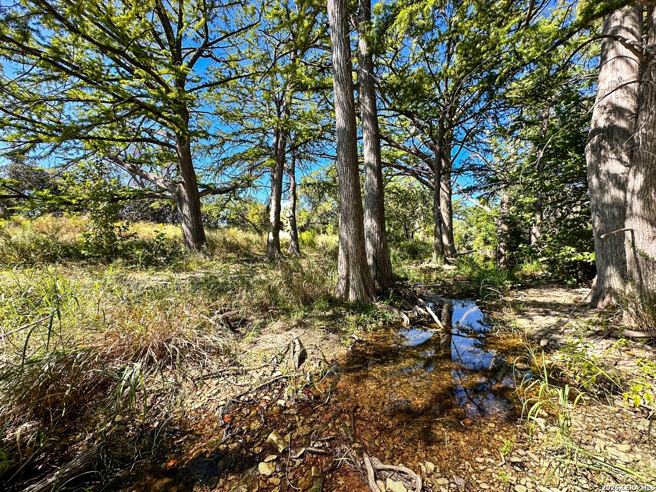 000 Ranch Road 473 Blanco TX 78606