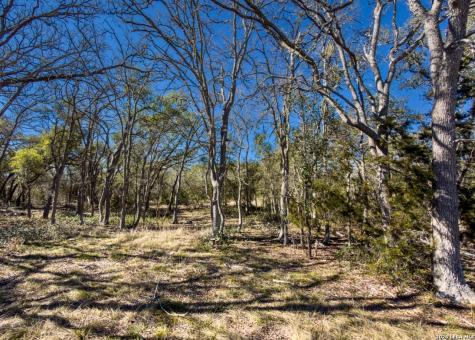 000 Ranch Road 473 Blanco TX 78606