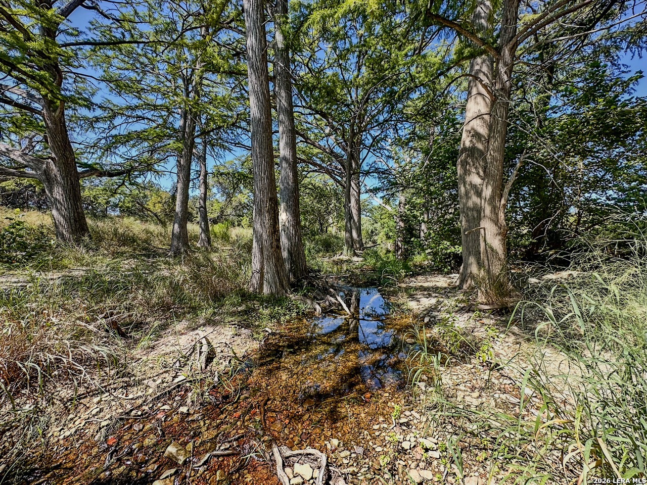 000 Ranch Road 473 Blanco TX 78606