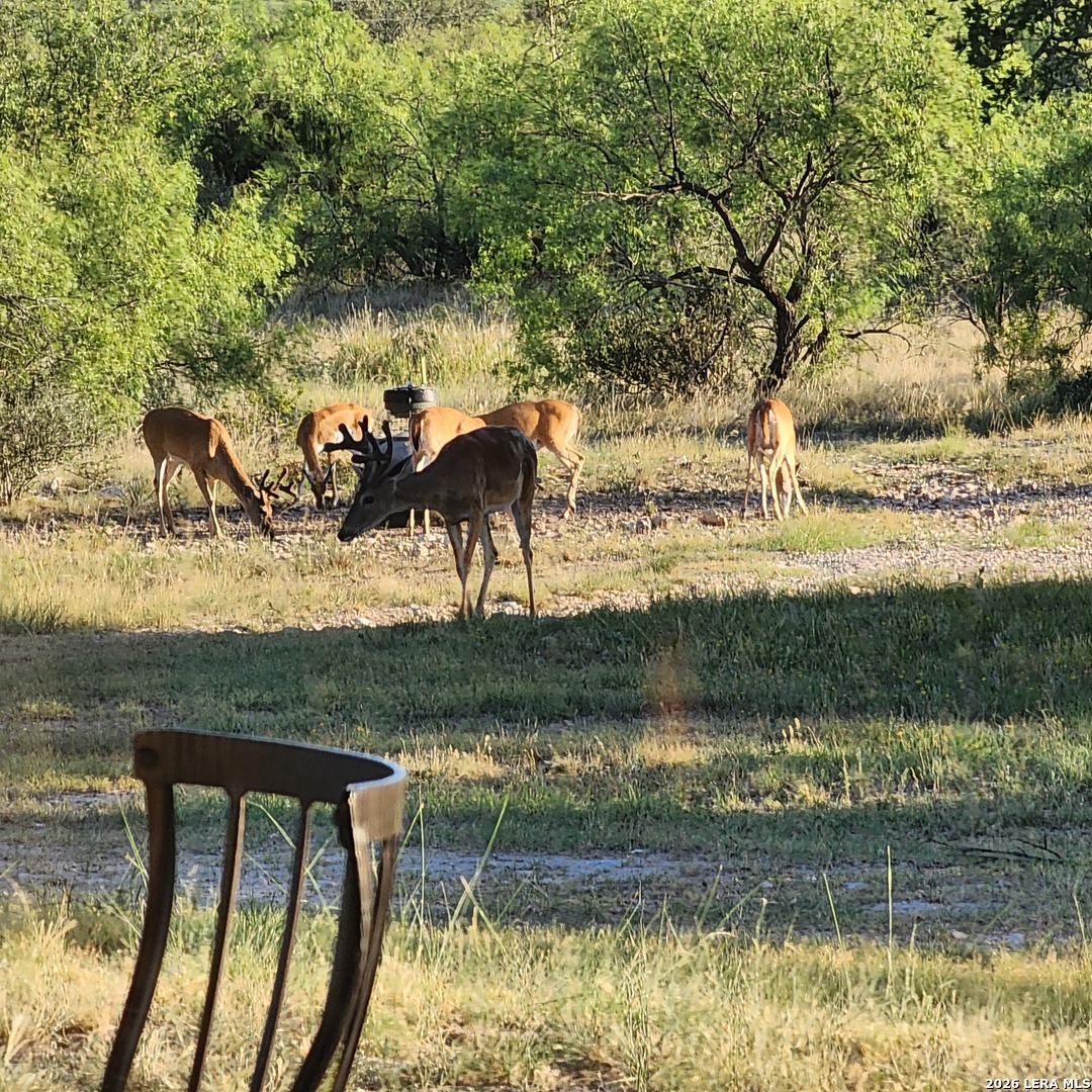 1972 Clover Lane Menard TX 76859
