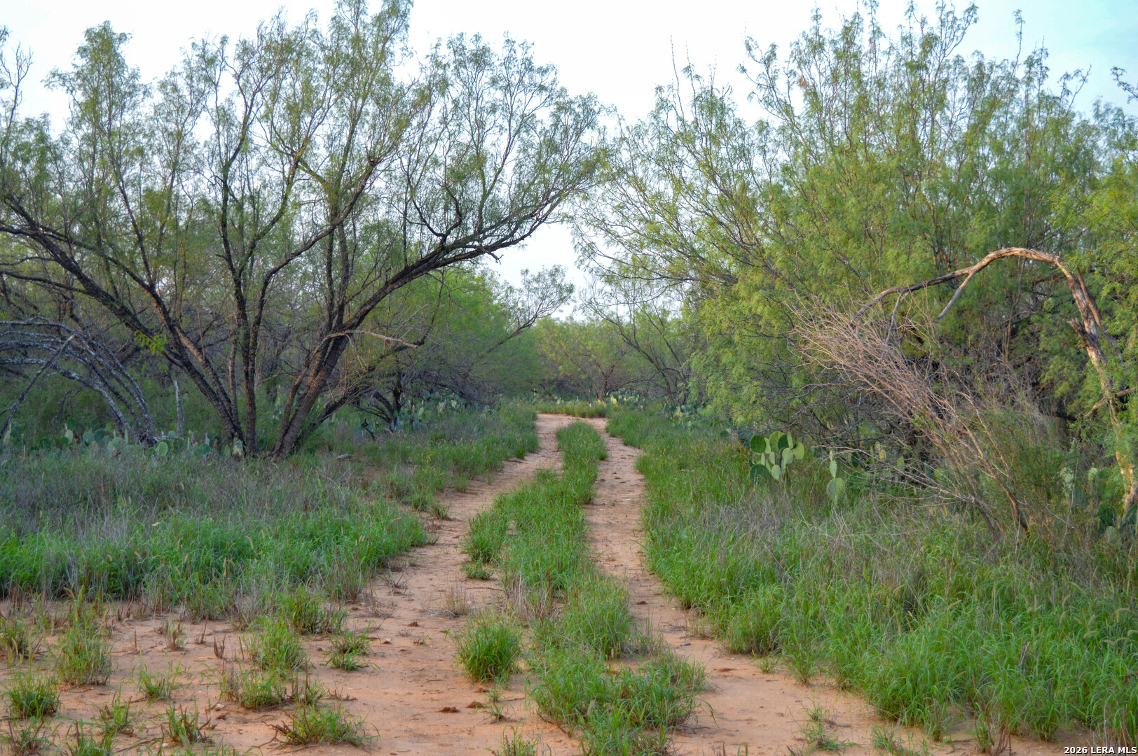 2923 Fm 186 Carrizo Springs TX 78834