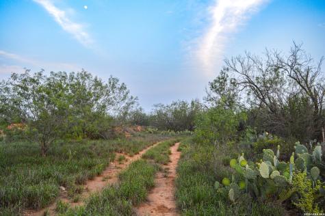 2923 Fm 186 Carrizo Springs TX 78834