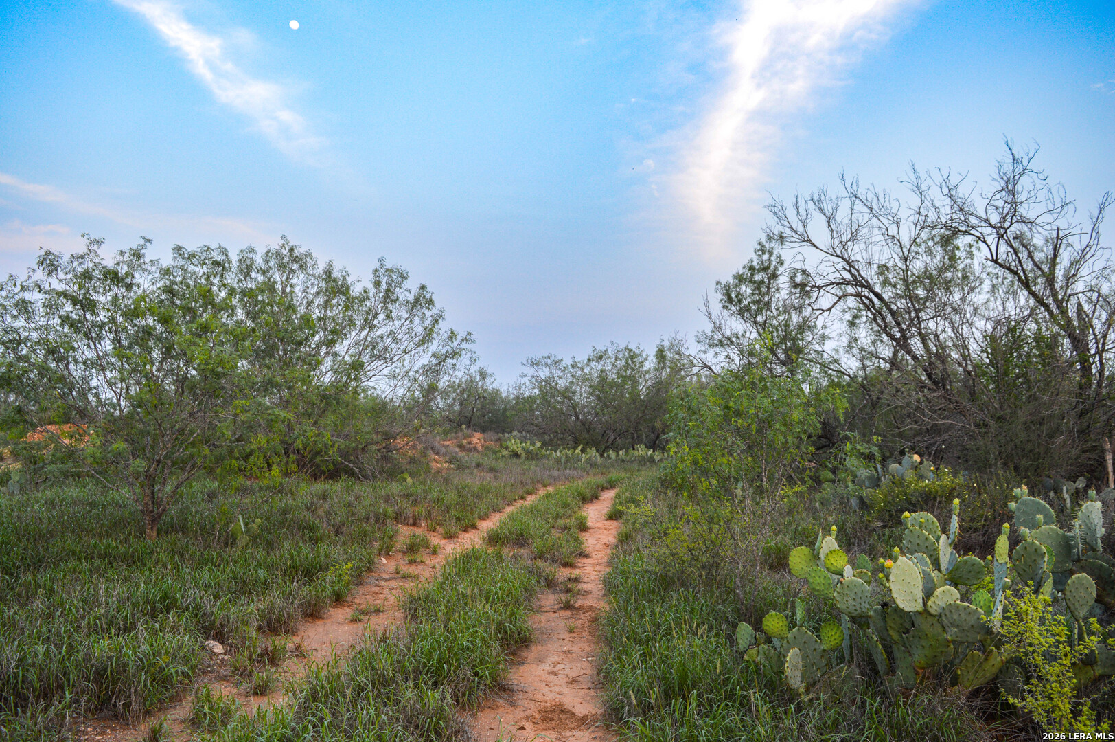 2923 Fm 186 Carrizo Springs TX 78834