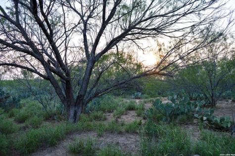 2923 Fm 186 Carrizo Springs TX 78834