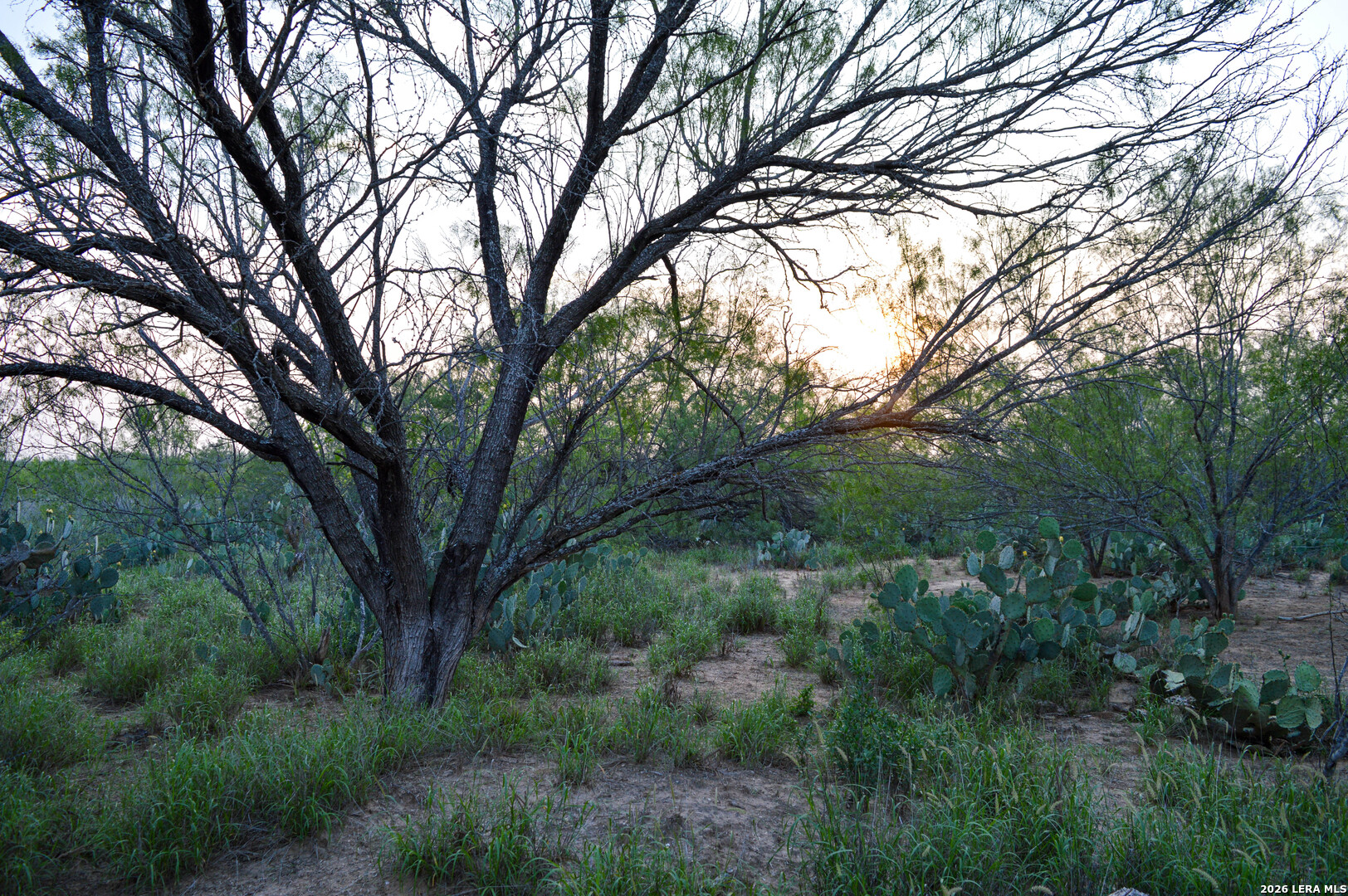 2923 Fm 186 Carrizo Springs TX 78834