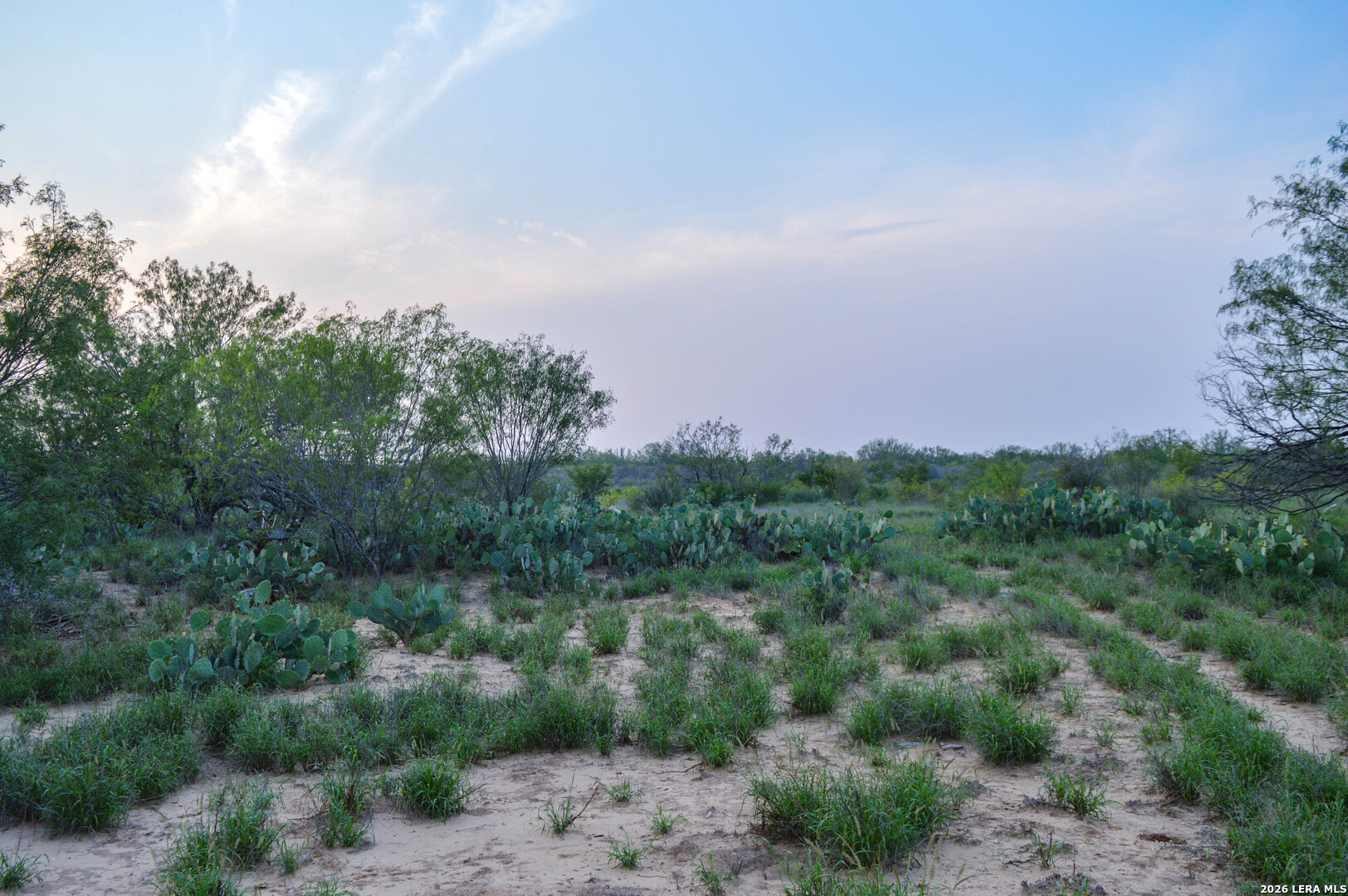 2923 Fm 186 Carrizo Springs TX 78834