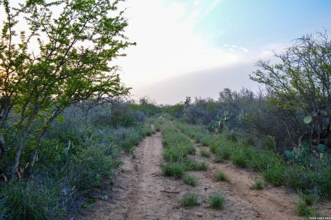 2923 Fm 186 Carrizo Springs TX 78834
