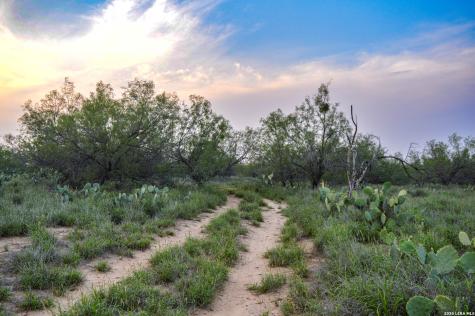 2923 Fm 186 Carrizo Springs TX 78834