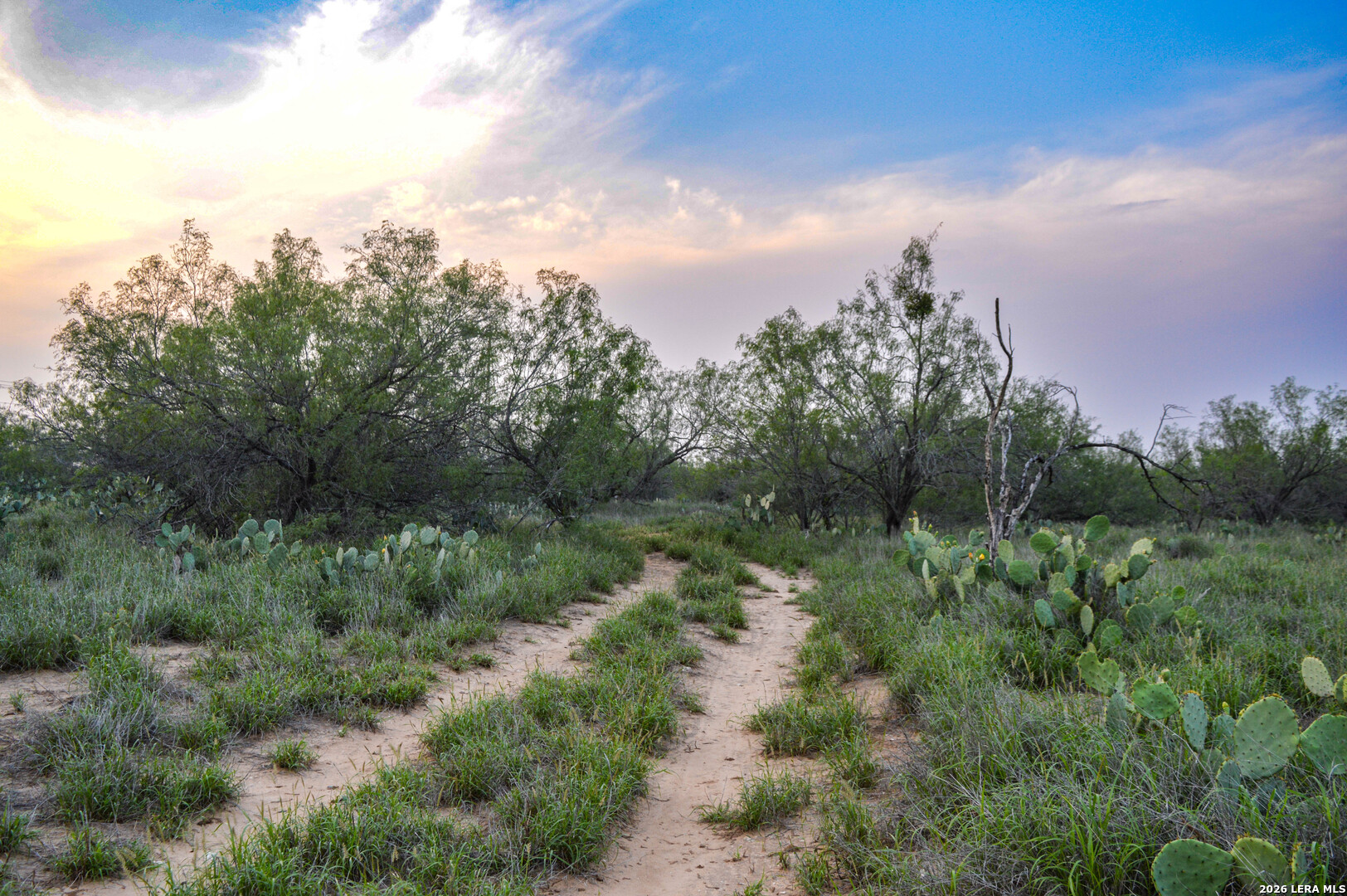 2923 Fm 186 Carrizo Springs TX 78834