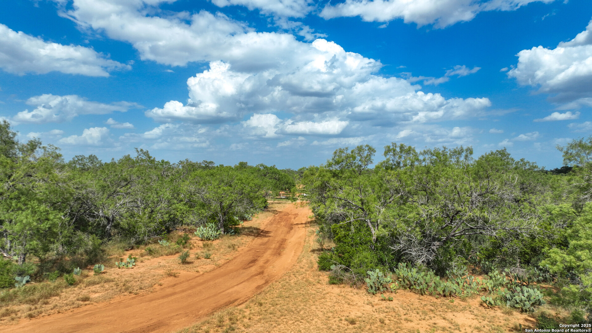 6451 Bluntzer Road Jourdanton TX 78026