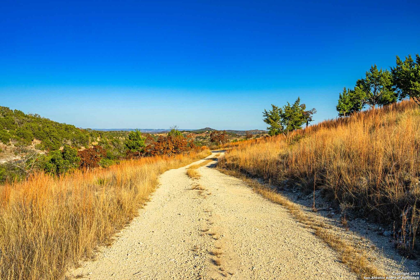 212 Sky Line Drive Comfort TX 78013