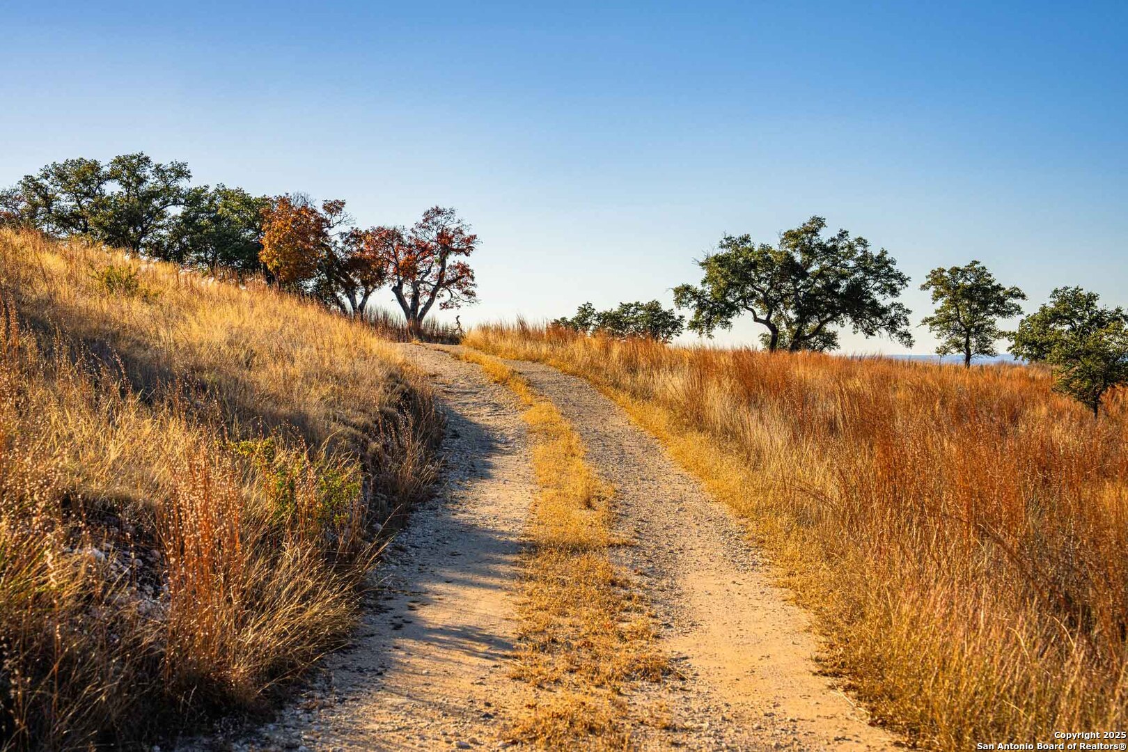 212 Sky Line Drive Comfort TX 78013